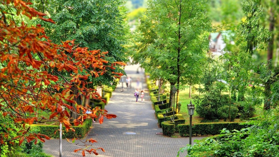 O oază de liniște și vindecare