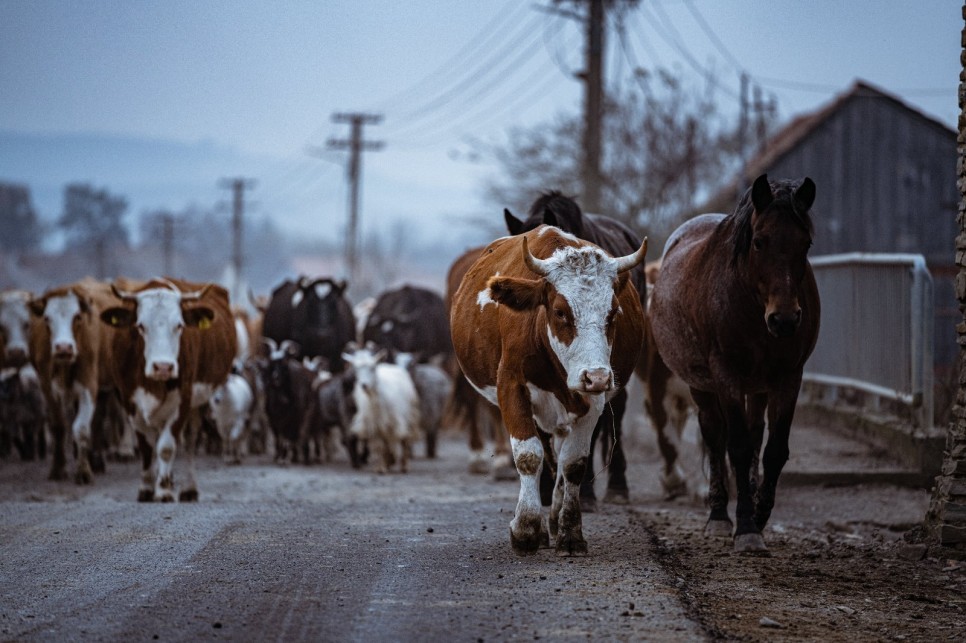 Mai mult decât o destinație, un model de dezvoltare
