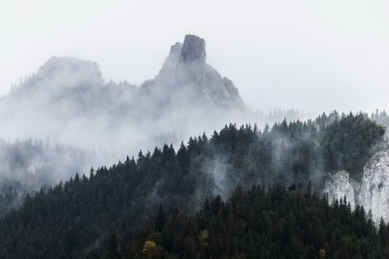 Ținutul Rarăului, Suceava, Promovare