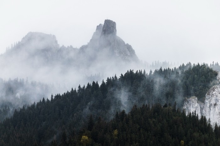 Ținutul Rarăului, Suceava, Promovare