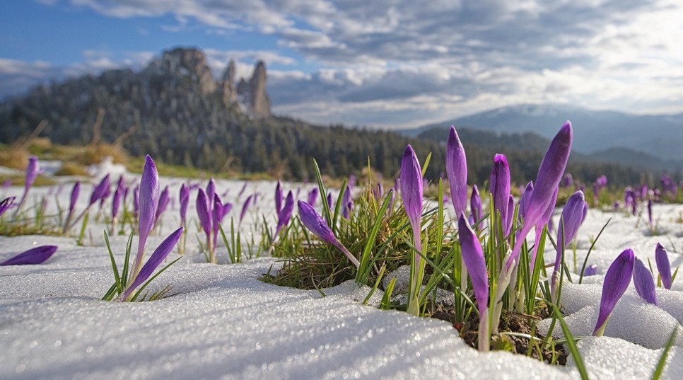 Experiență completă între natură și adrenalină