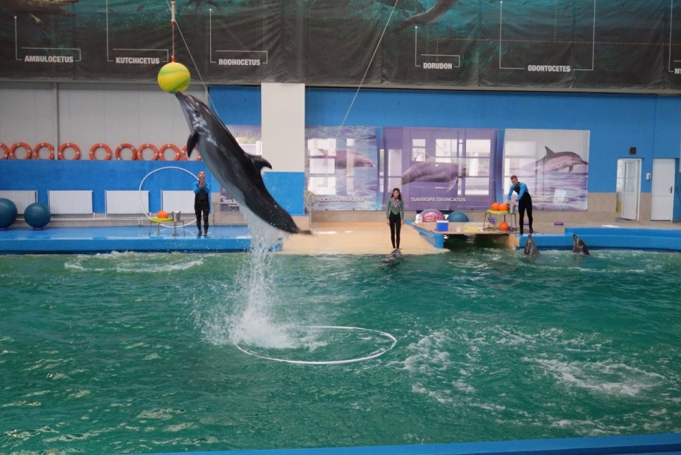 O experiență care fascinează la orice vârstă