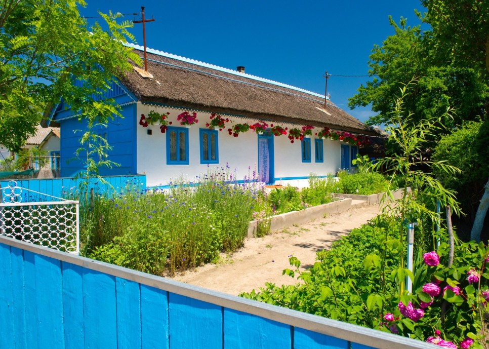 O lume vie în Pădurea Letea – plante, păsări și cai sălbăticiți