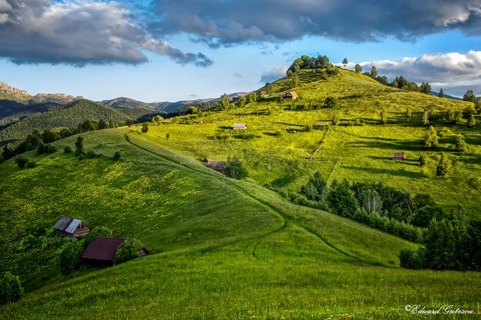 De ce să vizitezi Bran – Moieciu – Fundata în 2026?