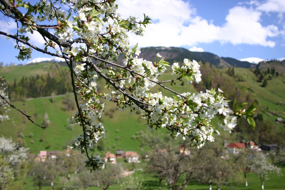 De ce să vizitezi Bran – Moieciu – Fundata în 2026?