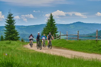 Țara Dornelor, Suceava