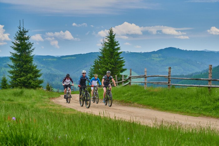 Țara Dornelor, Suceava