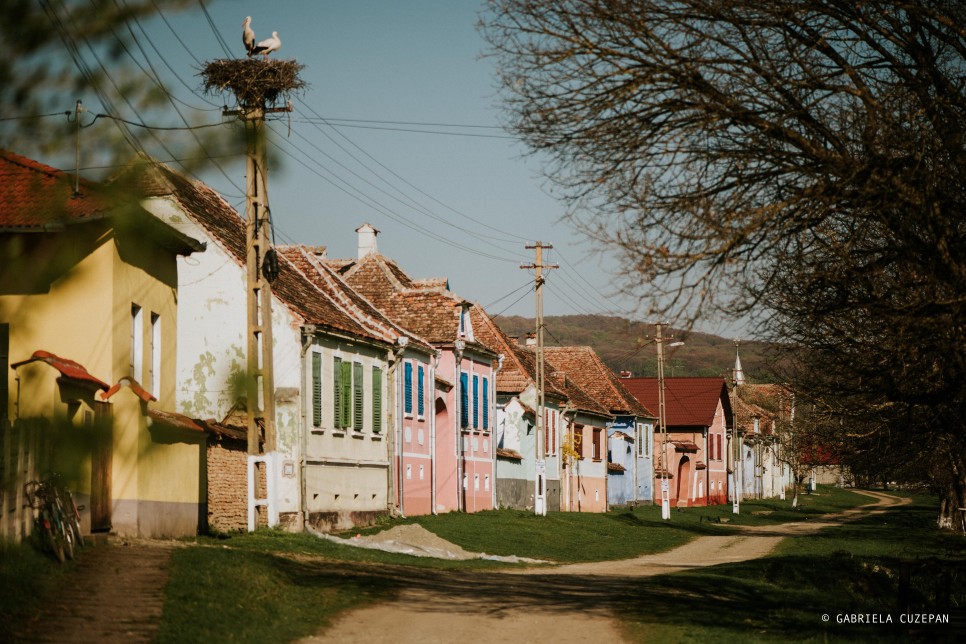 Pe urmele naturii și ale stelelor