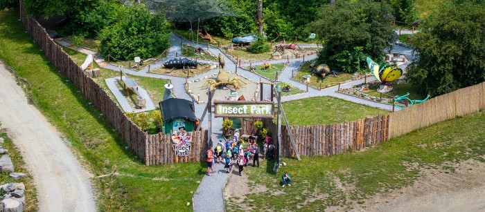 Insect Park, Harghita